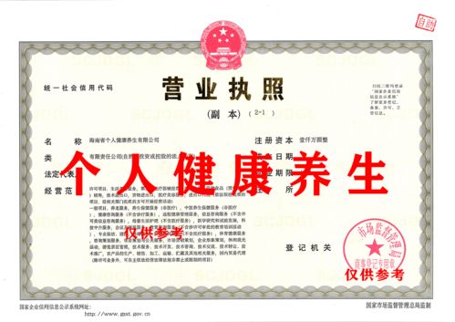 出讓海南省個人健康養(yǎng)生有限公司咨詢策劃服務