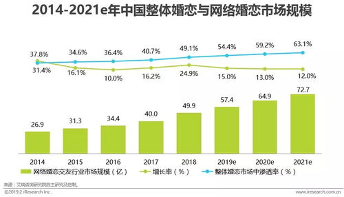 2019年中國網絡婚戀交友行業企業網絡技術服務研究報告
